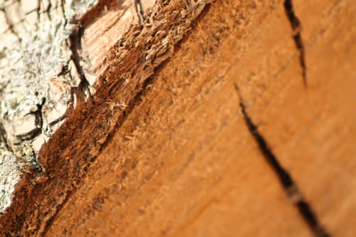 51124555051901614330264480006545612592022390906904121289505624498637050478593