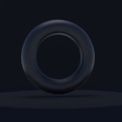 Torus #4