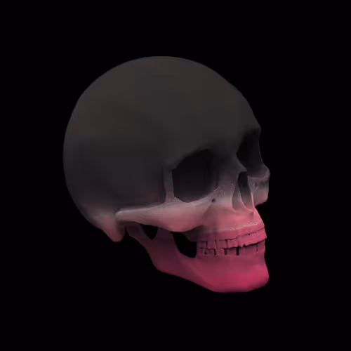 Skulls By Pierre