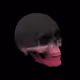 89199592287659037689243557345346853306943022817918872373952719895778838970369