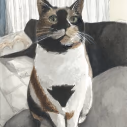 Cat Illustration #22