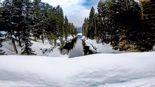 Item #32571599381915271373932081734413523199662368028101372806219517601834990567425 Media