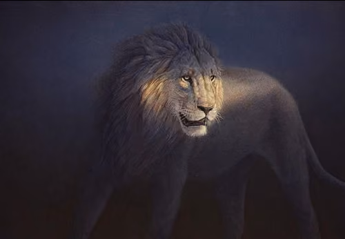 The Lions Turn 2