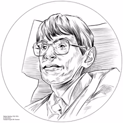 Stephen Hawking (1942-2018)