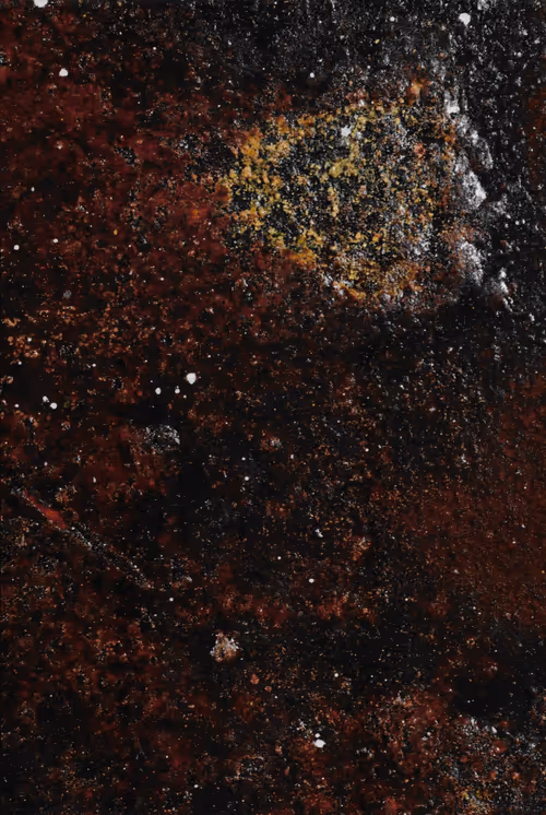 Item #23362206080031759863674021537611628681475652794224112579979904973920538722305 Media