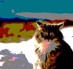 23538819986925566434507765811444276093104658907602947149672917442763486658561