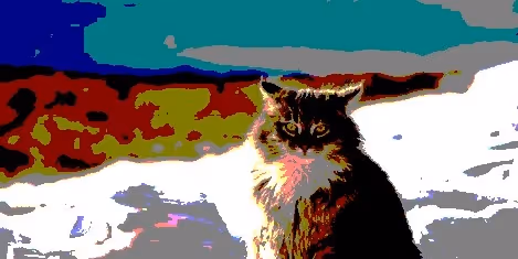 23538819986925566434507765811444276093104658907602947149672917442763486658561