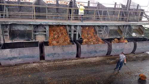 Item #9501492011993552100200174036132824050711189448859184710492527133390803042305 Media