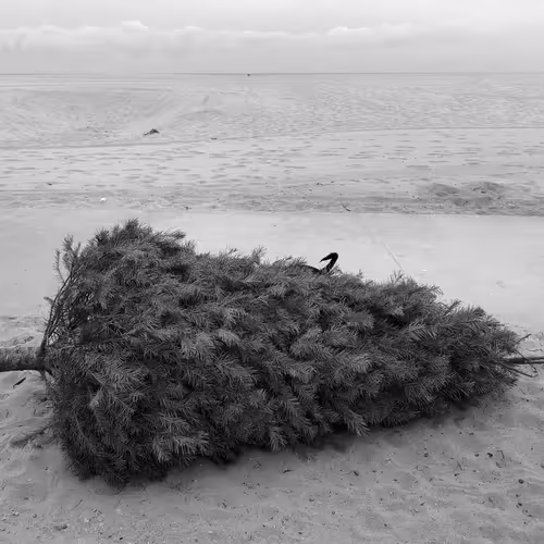 Item #56431751608181922231259635946092067407977788553703326303680802263471734390785 Media