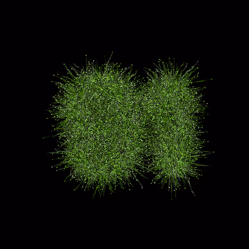 Item #31186271462743839332083495437684930572283654238385709344730710966304195477505 Media