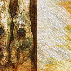 Illustration of the nailed feet in The Crucifixion of Jesus Christ