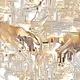 The Computation of Humanity