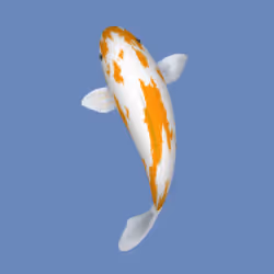 85890538515849146191794191908996501016024634704301377485849145346985623027713