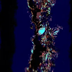 9050991396078878530804497659870993705968162446836973774563467422346216734721