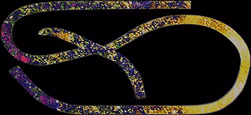 Item #25134024236616184979521667367921431367203659848766423059433089118451187844072 Media