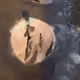 82335545325654645092381945985476335417101131946669324664570774554588192178177