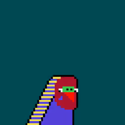 Budgie #251