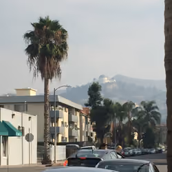 LA edition