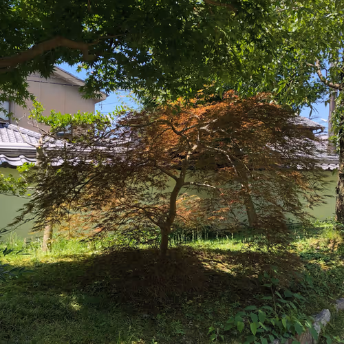 Test P56uady0hb