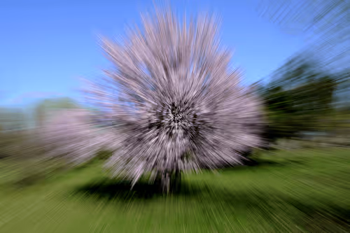 Item #44024487065254451978341284796523308956461514990321328857199441184907228872705 Media