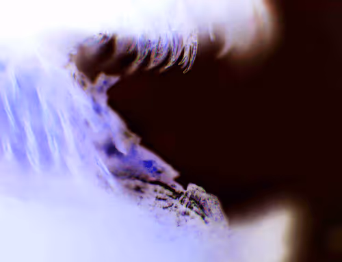 Item #71646257518770613568983710813551014237803002136866425209291833839377098735617 Media