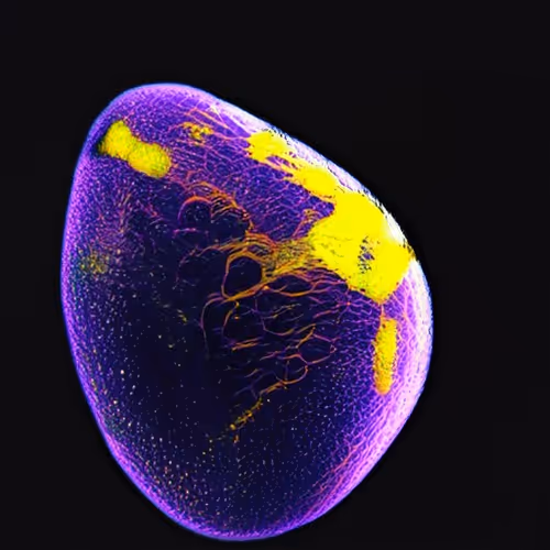 Item #101493833138293452925037003185435606984836230231700494607678448134916304535553 Media