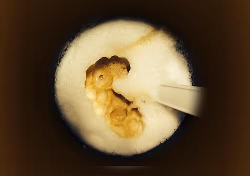 Item #32950900541074688019941179761660279688848553733738145877252429133664445530122 Media