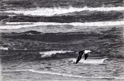 Item #38981910914719841349209021672290748297079281141291330615712331760041990291459 Media