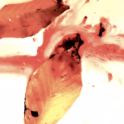 Explicit bleeding #7