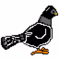ROBBER PIGEON #10