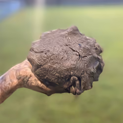 MudPi 3.141592653589