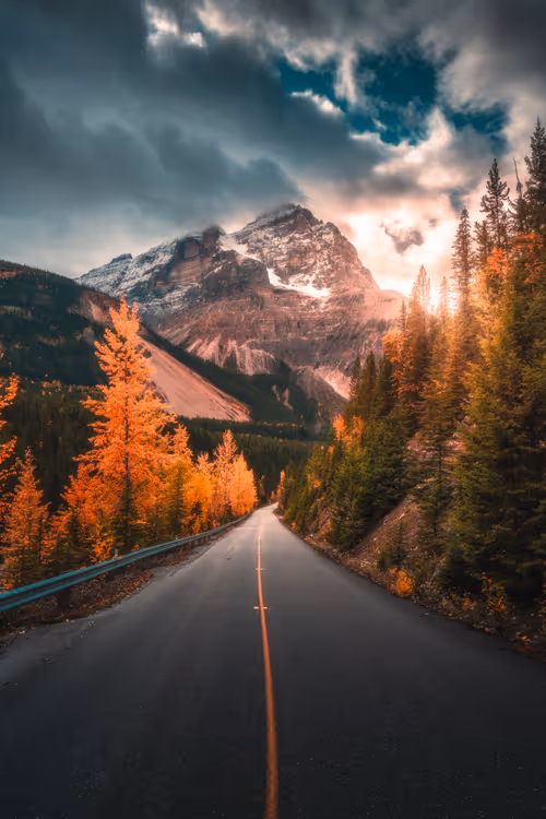 Item #62546128571173573861370652936856218284243546780344801453551937492629176975361 Media