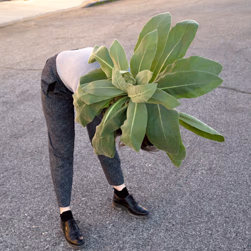 Item #90759427057310509927547570395708714779512351118091613108582219499075541139457 Media