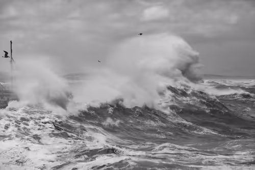 Item #9465970919991825070381387110769562952088497977437425311300914653717724135425 Media