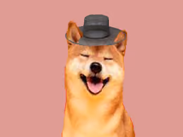 Item #35132558306005666945989237054941300939245987658462459495312623056962753396737 Media