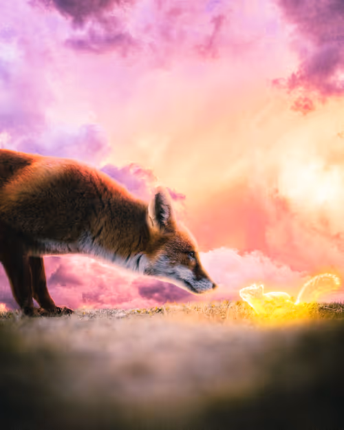 Item #53010446080174274945979665358285553867030313799277838715159623141937712726017 Media