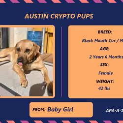 17951378556605612276483806045649535824451571419947225201384628490860780060673