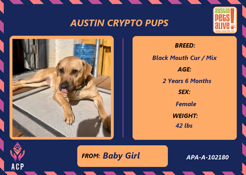 Item #17951378556605612276483806045649535824451571419947225201384628490860780060673 Media