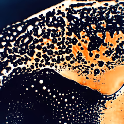 9251341193756129610411101804839683921415719585297066577807806968905332686849