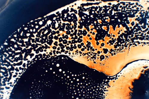 Item #9251341193756129610411101804839683921415719585297066577807806968905332686849 Media