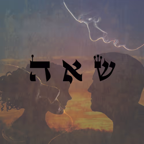 Item #60261209402415139582755570421670089329548312864668202741056927116998805028865 Media