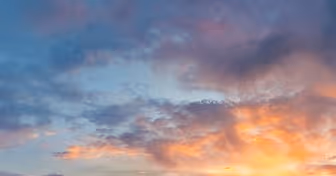 Untitled Collection #84286189