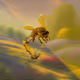 105244772974877028118800729703312124391560489806005255456111769975496583938049