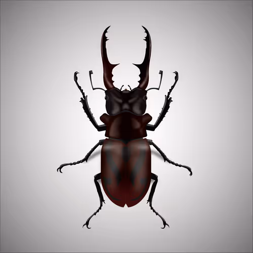 Item #15006194083360452165747859706250248338064014496976576965207407700649783066625 Media