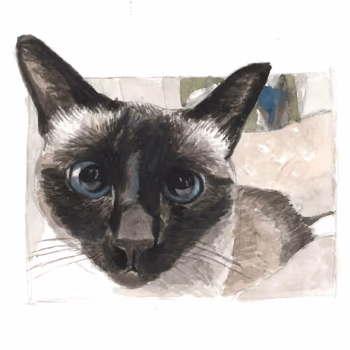 Cat Illustration #7