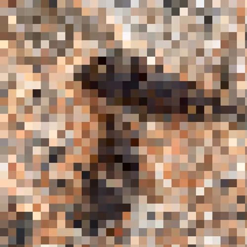 2850415134272365380187775685678842410458265265709128331682257625023026036737