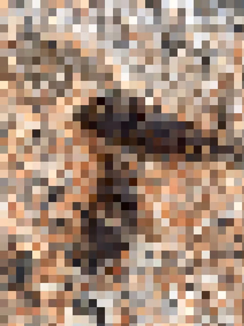 Item #2850415134272365380187775685678842410458265265709128331682257625023026036737 Media