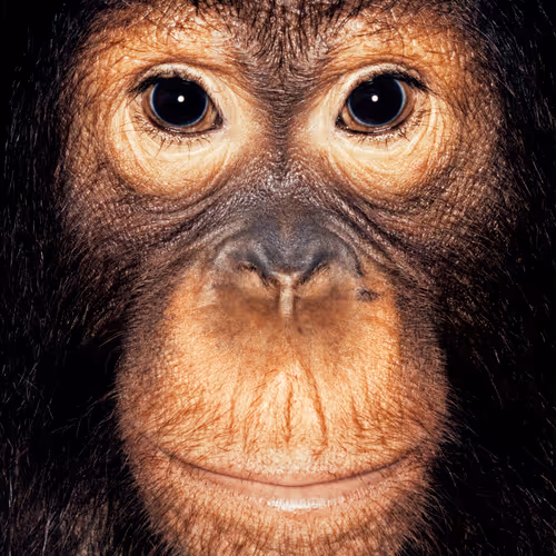 109162157552346088047496633038404394118504199992061596446112929740370105860097