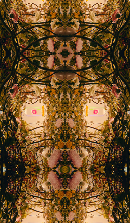 Item #54411499690937640101772425138653578544162397958311670010148906838990377713665 Media