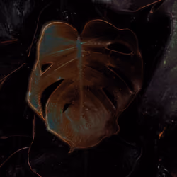 ChromoPlant #003
